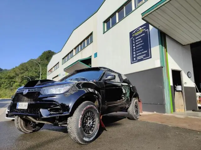 Ssanyong T1 Cattiva Sport