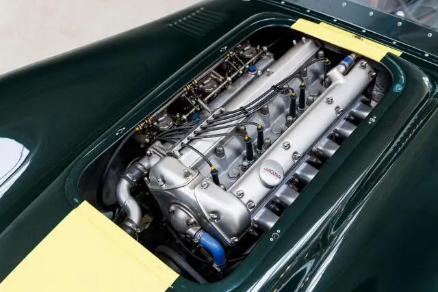 Lister Knobbly - Image 7