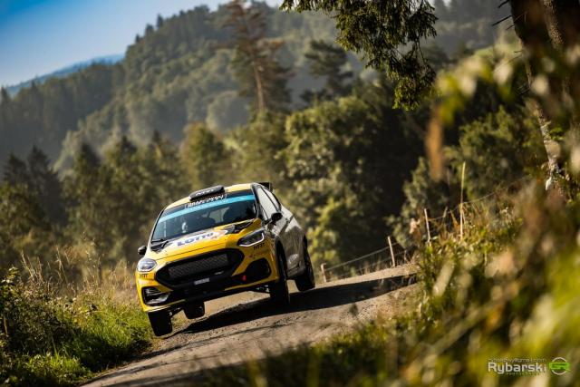 Ford Fiesta Rally3 Evo (WRC, ERC, RSMP, National) - Image 6