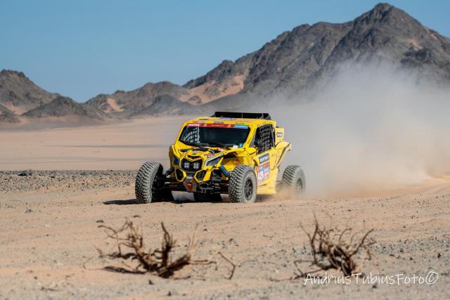 Can-Am South Racing Maverick X3 - FIA T4 - Image 10