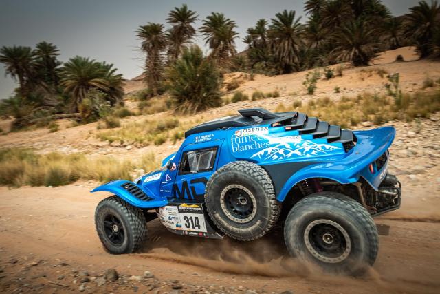 Buggy MD OPTIMUS 2020 - Image 10