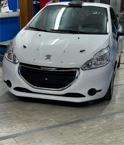 Peugeot 208 R2 - Image 2