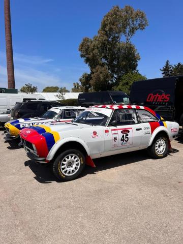 Peugeot 504 Gr.5 - Image 4