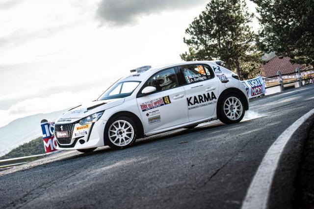 Peugeot 208 Rally4 - Image 5
