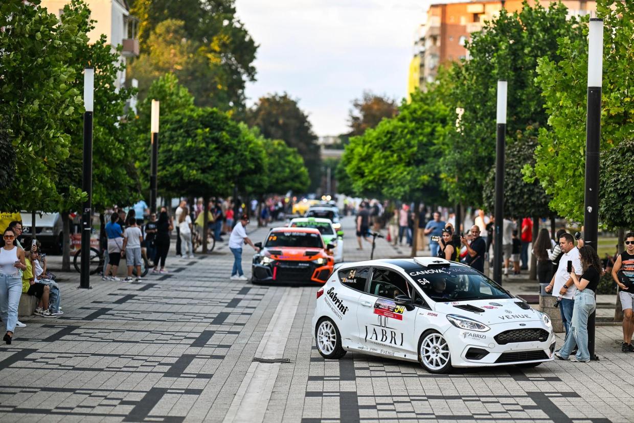 Ford Fiesta Rally 4 - Image 6