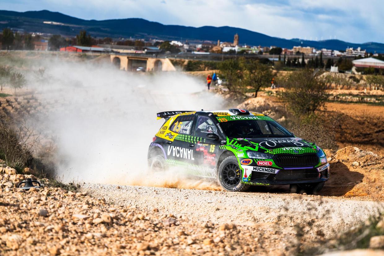 Skoda Fabia RS Rally2 - Image 4